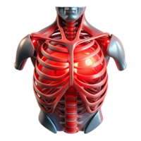 beautiful artistic Biomechanical torso with exposed ribcage and artificial organs, illuminated by a pulsating, red light, in a horror style high quality png