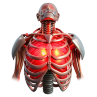extraordinary rustic Biomechanical torso with exposed ribcage and artificial organs, illuminated by a pulsating, red light, in a horror style high resolution png
