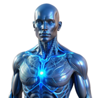 serene abstract A human torso with intricate circuitry woven into the musculature, ethereal blue glow, biopunk style exclusive png