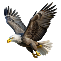 beautiful rustic A majestic bald eagle soaring through the air, its white head and brown feathers illuminated by the bright sunlight, in a realistic, wildlife photography style premium png