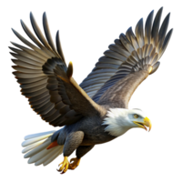 vibrant rustic A majestic bald eagle soaring through the air, its white head and brown feathers illuminated by the bright sunlight, in a realistic, wildlife photography style high quality png