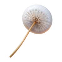 elegant vintage A single, floating dandelion seed, delicate structure, soft natural light, minimalist botanical theme professional png