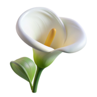 extraordinary abstract A single, perfect white calla lily, its delicate petals unfurling, lit by a soft, cool light. Minimalist style 4K png