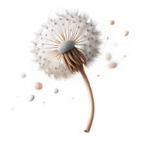 wonderful minimalist A single dandelion seedhead with seeds blowing in the wind, delicate, ethereal lighting, macro photography high resolution png