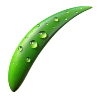 vibrant minimalist A single blade of grass covered in dew drops, vibrant green, morning sunlight, macro photography style authentic png
