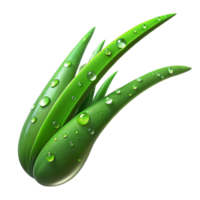 beautiful minimalist A single blade of grass covered in dew drops, vibrant green, morning sunlight, macro photography style authentic png