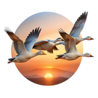 beautiful creative A flock of migrating geese flying in formation, illuminated by sunset, in a serene, painterly style detailed png