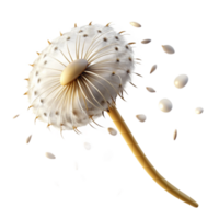 impressive rustic A lone dandelion seedhead with seeds blowing in the wind, soft diffused light, macro photography style exclusive png