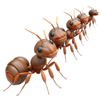 wonderful traditional A colony of ants marching in a line, carrying food back to their nest, rendered in a detailed, naturalistic style original png