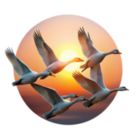 elegant modern A flock of migrating geese flying in formation, illuminated by sunset, in a serene, painterly style high quality png