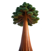 impressive rustic A giant sequoia tree reaching towards the starry night sky, low angle shot, majestic and awe-inspiring premium png