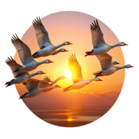 extraordinary abstract A flock of migrating geese flying in formation, illuminated by sunset, in a serene, painterly style authentic png