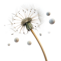impressive modern A single dandelion seedhead with seeds dispersing in the wind, ethereal lighting, macro photography style authentic png