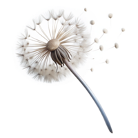wonderful rustic A single dandelion seedhead, its delicate seeds about to be carried away by the wind, with a poetic, nature photography style high quality png