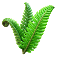 dramatic contemporary A lush, green fern unfurling in a beam of dappled sunlight, hyperrealistic style, intricate details of the plant's structure visible exclusive png