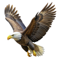 beautiful creative A bald eagle soaring through the sky, powerful and majestic, photorealistic style, natural lighting exclusive png
