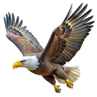 impressive traditional A bald eagle soaring through the sky, powerful and majestic, photorealistic style, natural lighting exclusive png