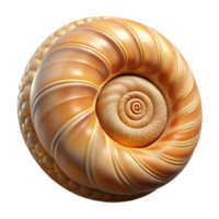 vibrant minimalist A spiral seashell, intricate patterns and textures, warm natural light, macro photography style exclusive png