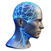 elegant modern A transparent human head with visible neural pathways illuminated by pulsating blue light, detailed anatomy, scientific illustration style high resolution png
