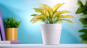 Vibrant indoor plant in a white pot, showcasing lush green and yellow leaves against a colorful backdrop photo