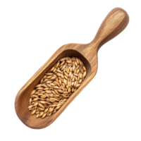 Barley grains in a wooden scoop on a transparent background showcasing natural textures and colors, grain barley in wood scoop on transparent background png