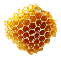 Honeycomb displayed on a transparent background, capturing its unique hexagonal structure and golden honey texture, Honeycomb isolated on transparent background png