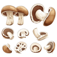 Sliced mushrooms displayed from various cuts and angles showcasing different views and textures, Set Sliced Mushrooms, Different Cuts and Views, Isolated on transparent background png