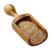Quinoa grains in a wooden scoop on a transparent background, Quinoa in wood scoop on transparent background png