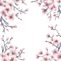 Delicate watercolor sakura branches with soft pink cherry blossoms framing a serene transparent background, Elegant Sakura Branches Delicate Cherry Blossoms Frame Softly Textured Borders. png