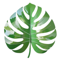 A vibrant monstera leaf cutout placed against a clean transparent background showcasing intricate leaf patterns and textures, monstera leaf on transparent backgroundfile png