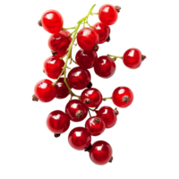 Fresh red currants on a transparent background showcasing their vibrant color and juicy texture, Fresh red currant fruit on a transparent background png