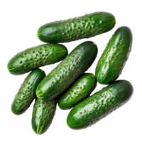 Fresh cucumbers arranged on a bright transparent background, showcasing their vibrant color and unique texture, fresh cucumbers on transparent background png