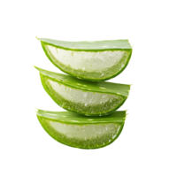 Fresh Aloe Vera slices arranged on a transparent background for natural health and beauty applications, Aloe Vera slices isolated on transparent background png