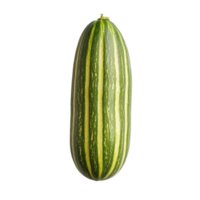 Fresh striped cucumber on a clean transparent surface, showcasing its vibrant green and yellow stripes, striped cucumber on transparent background png