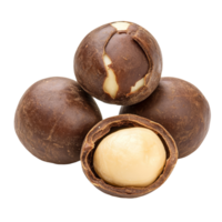 Delicious macadamia nuts coated in rich chocolate on a clean transparent background for a tempting treat, macadamia on transparent background png