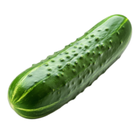 Fresh cucumber isolated on a clean transparent background, showcasing its vibrant green color and unique texture for culinary uses, cucumber isolated on transparent background png