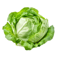 Fresh green iceberg lettuce isolated on a transparent background, showcasing its crisp leaves and vibrant color, Green Iceberg lettuce isolated on transparent background png