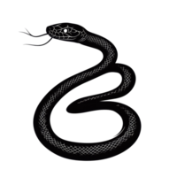 Isolated black snake silhouette coiled on a transparent background highlighting its distinct features and shape, Snake silhouette. Isolated snake isolated on transparent background png