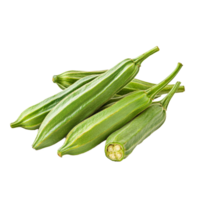 Fresh okra pods arranged neatly on a transparent background for culinary and nutritional presentation, okra isolated on transparent background png