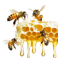 Bees collecting nectar from honeycomb during a sunny day with a transparent background, bees and their honey, transparent background, png