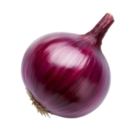 A fresh red onion placed on a clean transparent background, showcasing its vibrant color and smooth texture, red onion isolated on transparent background png