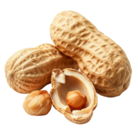 Fresh peanuts in their shells displayed on a transparent background showcasing natural texture and color, peanuts in closeup on transparent background png