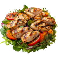 Warm grilled chicken salad with fresh vegetables served on a bed of mixed greens in a classic arrangement, Isolated portion of warm chicken grilled salad png