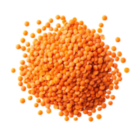 Fresh red lentils scattered on a clean transparent background, highlighting their rich color and texture for culinary uses, red lentils isolated on transparent background png