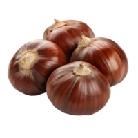 Fresh organic chestnuts arranged neatly on a transparent background showcasing their rich color and texture, Organic four chestnuts on a transparent background png