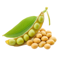 Closeup of fresh soybeans and pod isolated on a transparent background highlighting their vibrant green color and texture, Close up Soybean isolated on transparent background png
