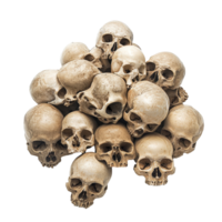 A detailed pile of human skulls isolated against a transparent background for educational and artistic purposes, pile of human skulls, file of isolated object with shadow on transparent background png