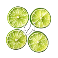 Fresh lime slices arranged artistically on a clean transparent background, showcasing their vibrant green color and texture, Lime slices isolated on transparent background png