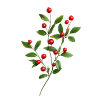 Fresh lingonberry branch with vibrant red berries and green leaves isolated on a clean transparent background, lingonberry branch with red berries isolated on transparent background png