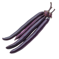 Purple long beans isolated on a transparent background showcasing their vibrant color and smooth texture, Purple long bean isolated on transparent background png